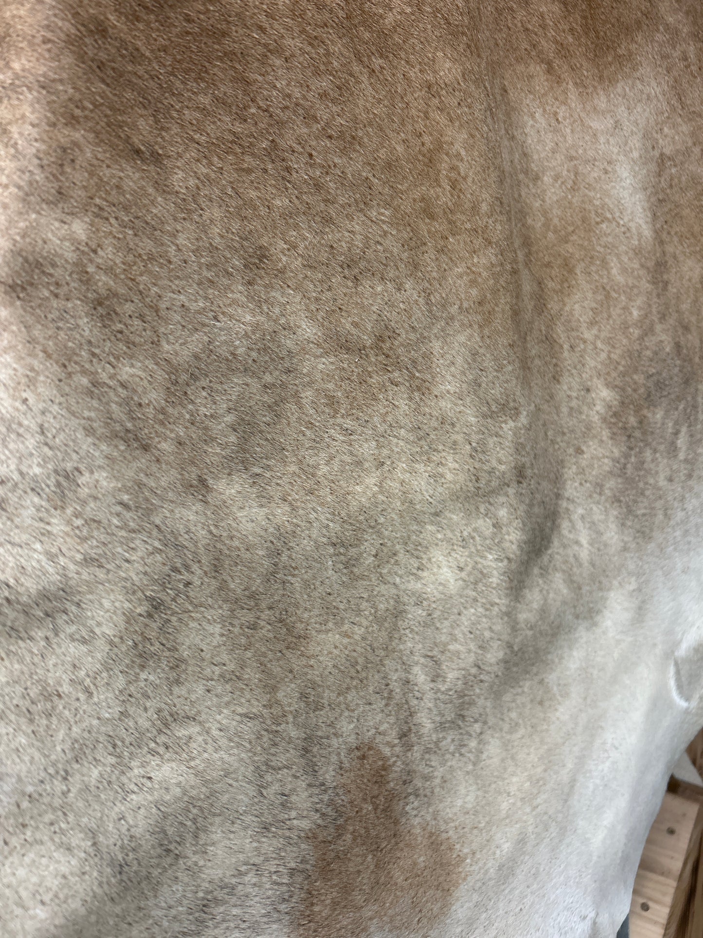 5x6 Cowhide ✳️ Free Shipping ✳️