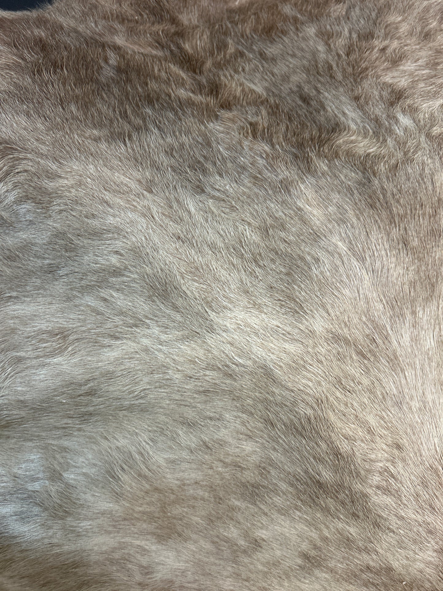 6x6.6 Cowhide ✳️ FREE SHIPPING ✳️
