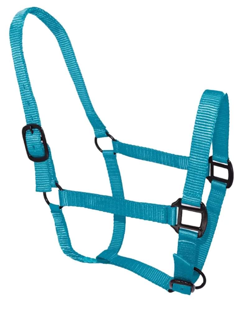 Double Ply Horse Halter