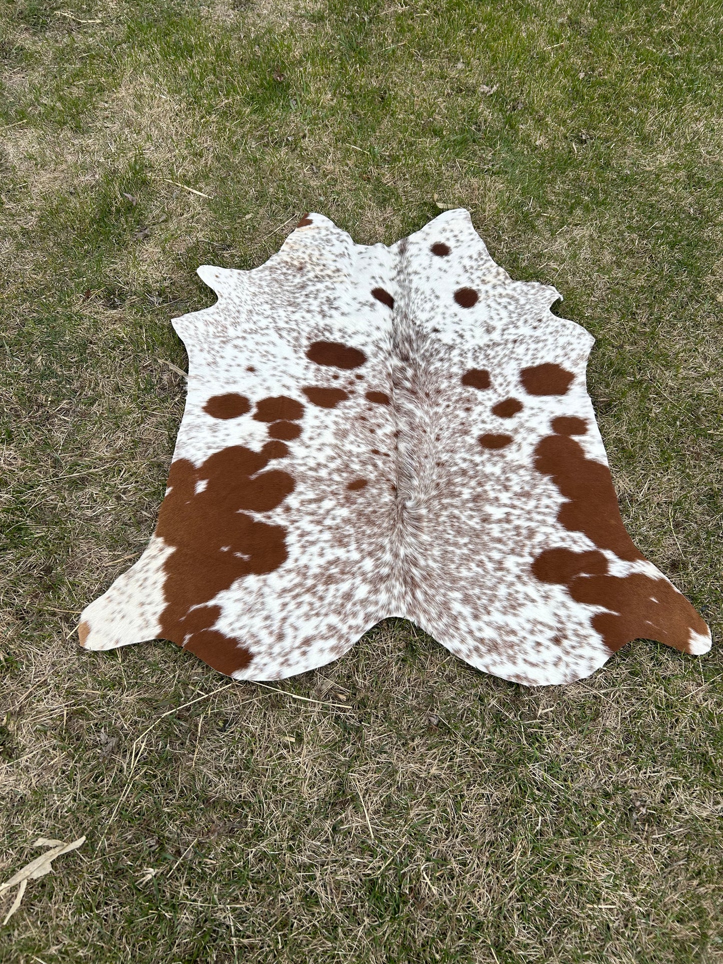 Cowhide 50x50 ✳️ FREE SHIPPING✳️