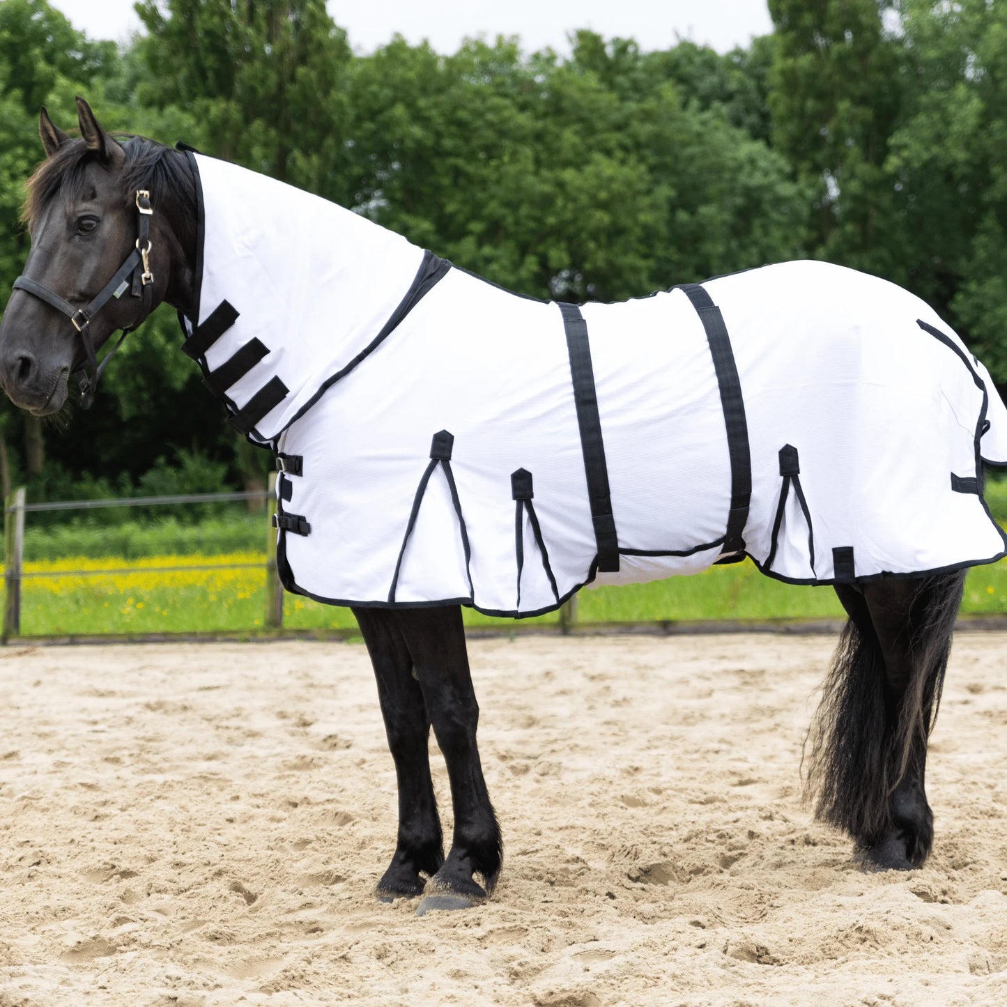 70” Resistance Fly sheet