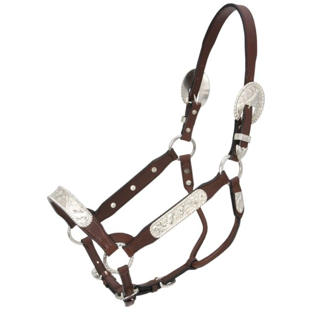 BERRY EDGE CONGRESS WEANLING SHOW HALTER DARK BROWN WITH LEAD