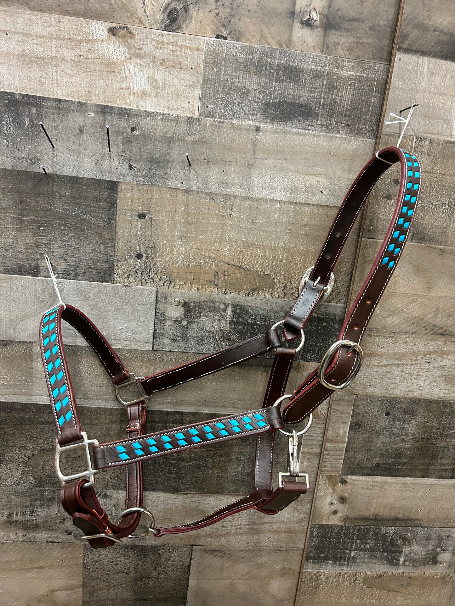 Turquoise Buckstitch Leather Halter 3 Way Adjustable