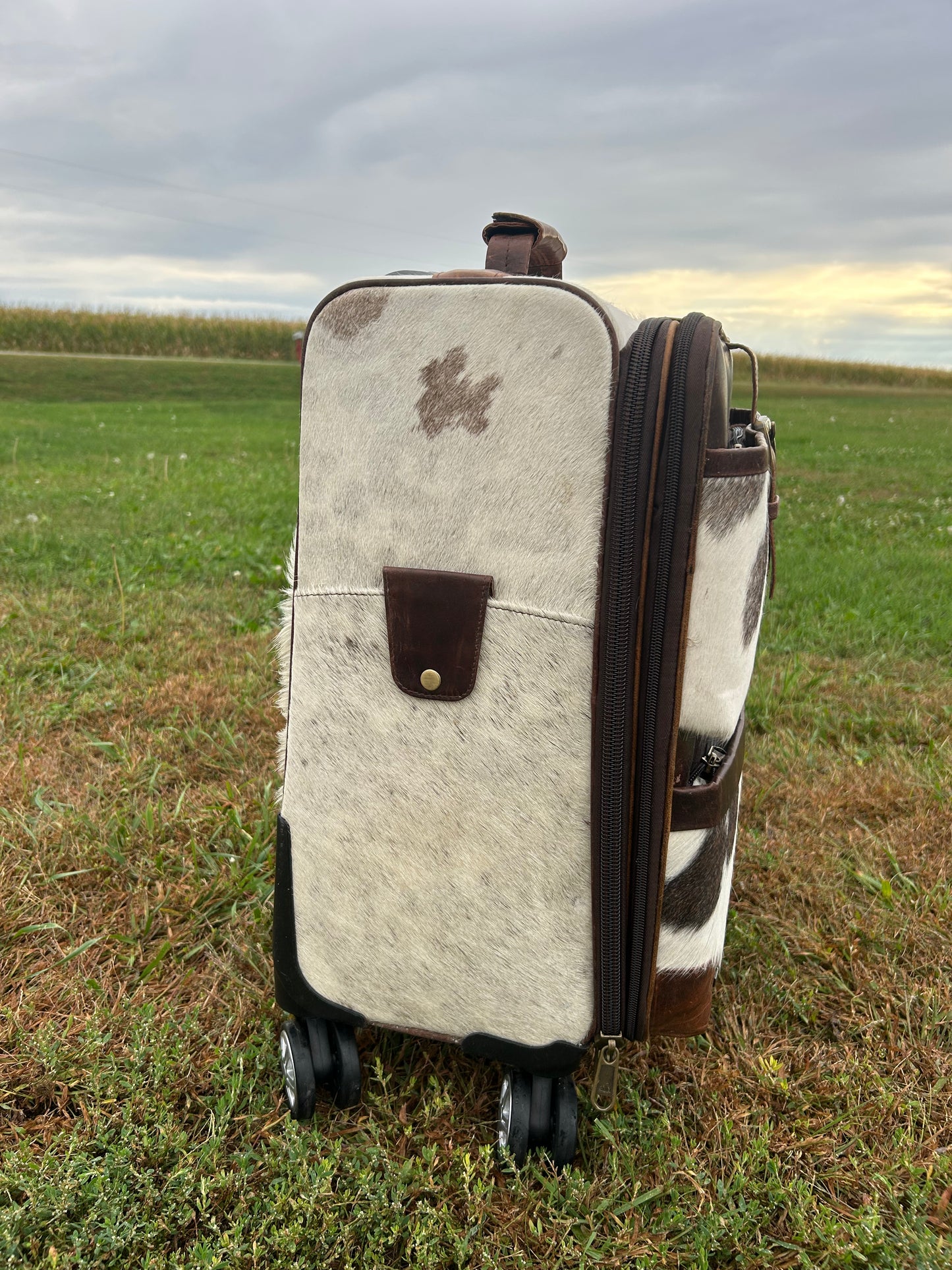 Travel Trolley ❇️Free Shipping ❇️