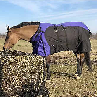 Round/Large Square Hybrid Feeder ✳️ FREE SHIPPING ✳️