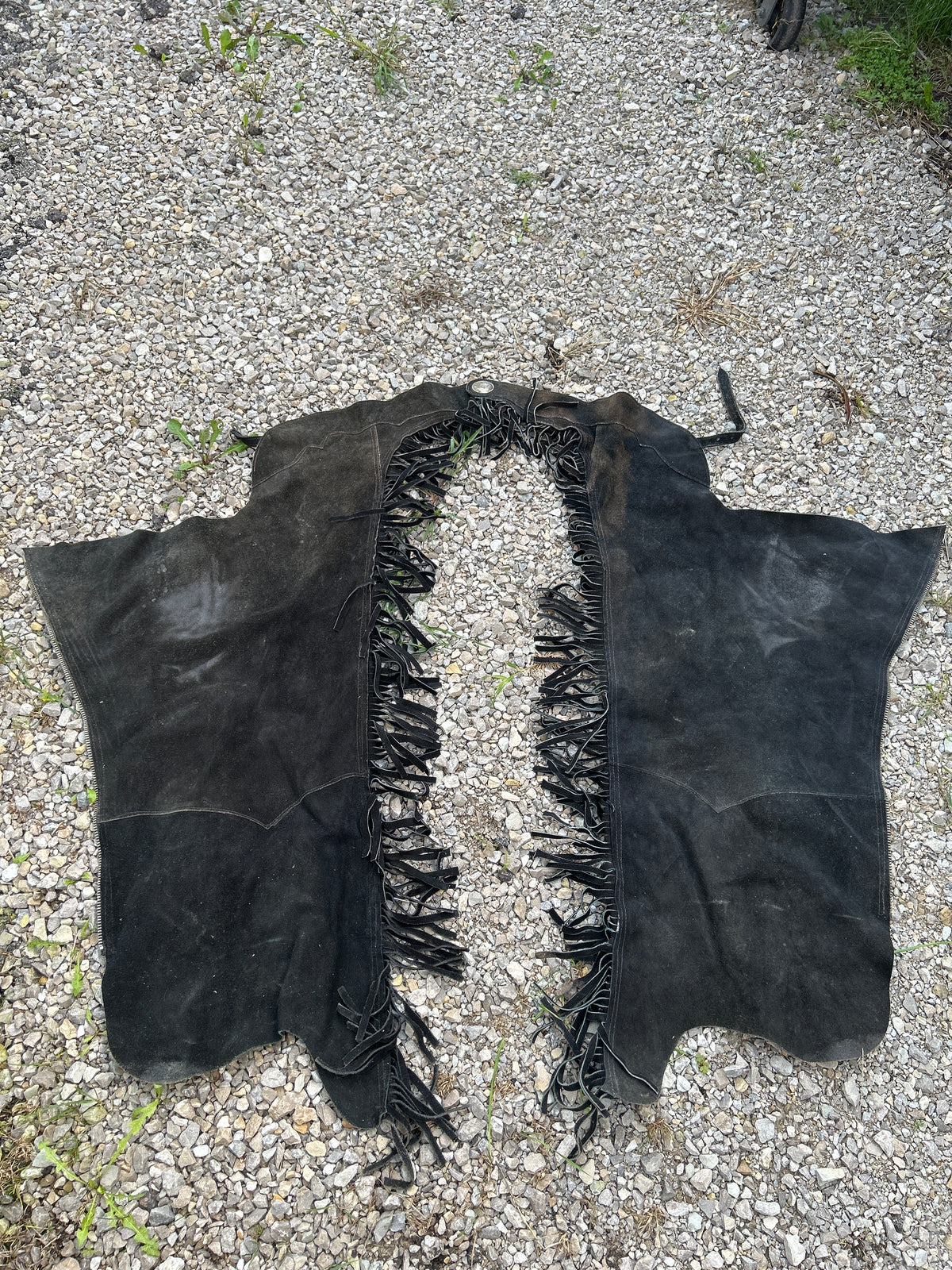 Used Size Med Chaps