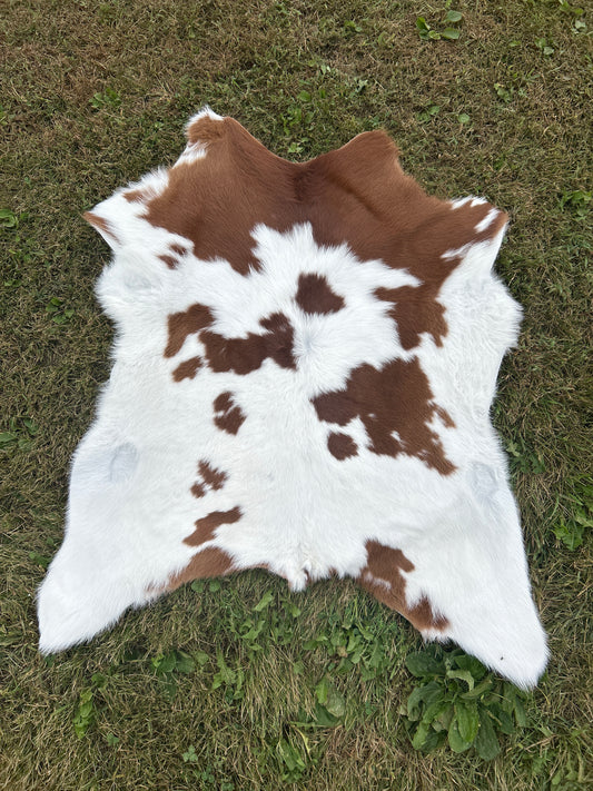 Calf Hide ❇️ Free Shipping ❇️