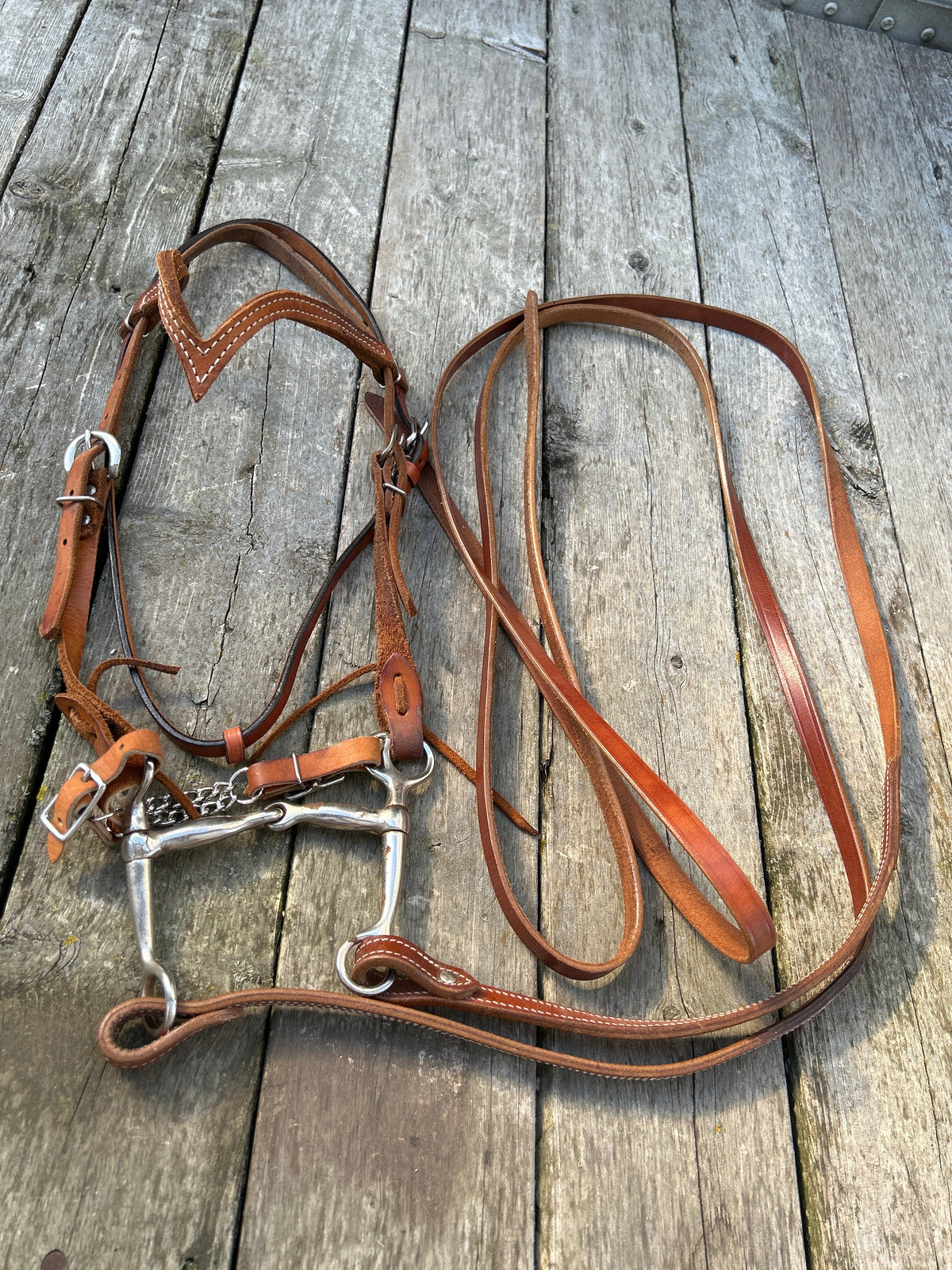 Used Bridle In Using Condition