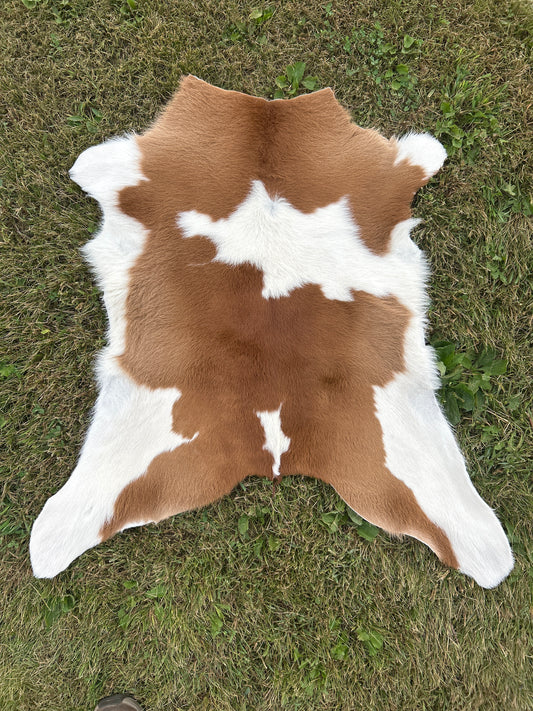 Calf Hide ❇️ Free Shipping ❇️