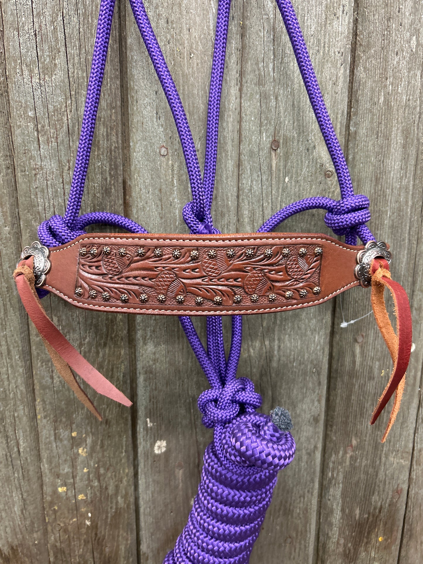 Rope Bronc Halter