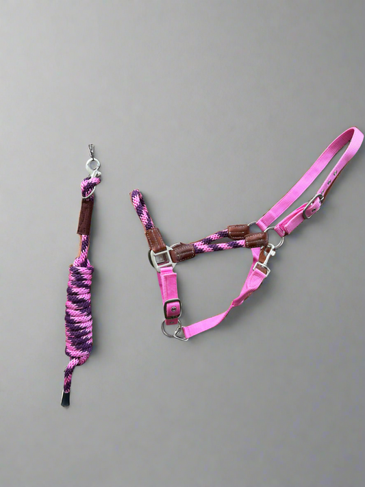 Hybrid Full Size halter with matching lead