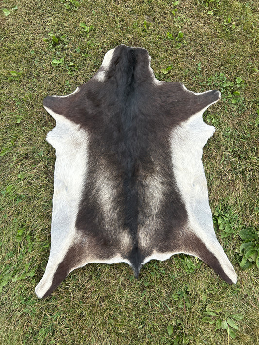 Goat Hide ❇️ Free Shipping ❇️