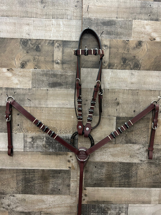 Hot Oiled Tack Set