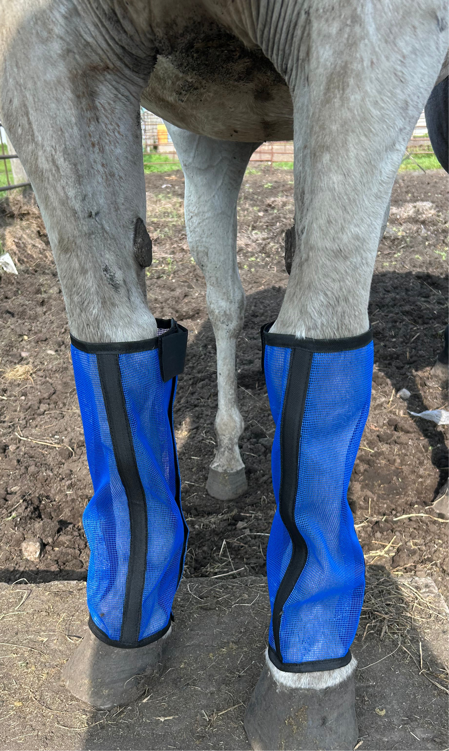 Set Of 4 Fly Boots  White Available
