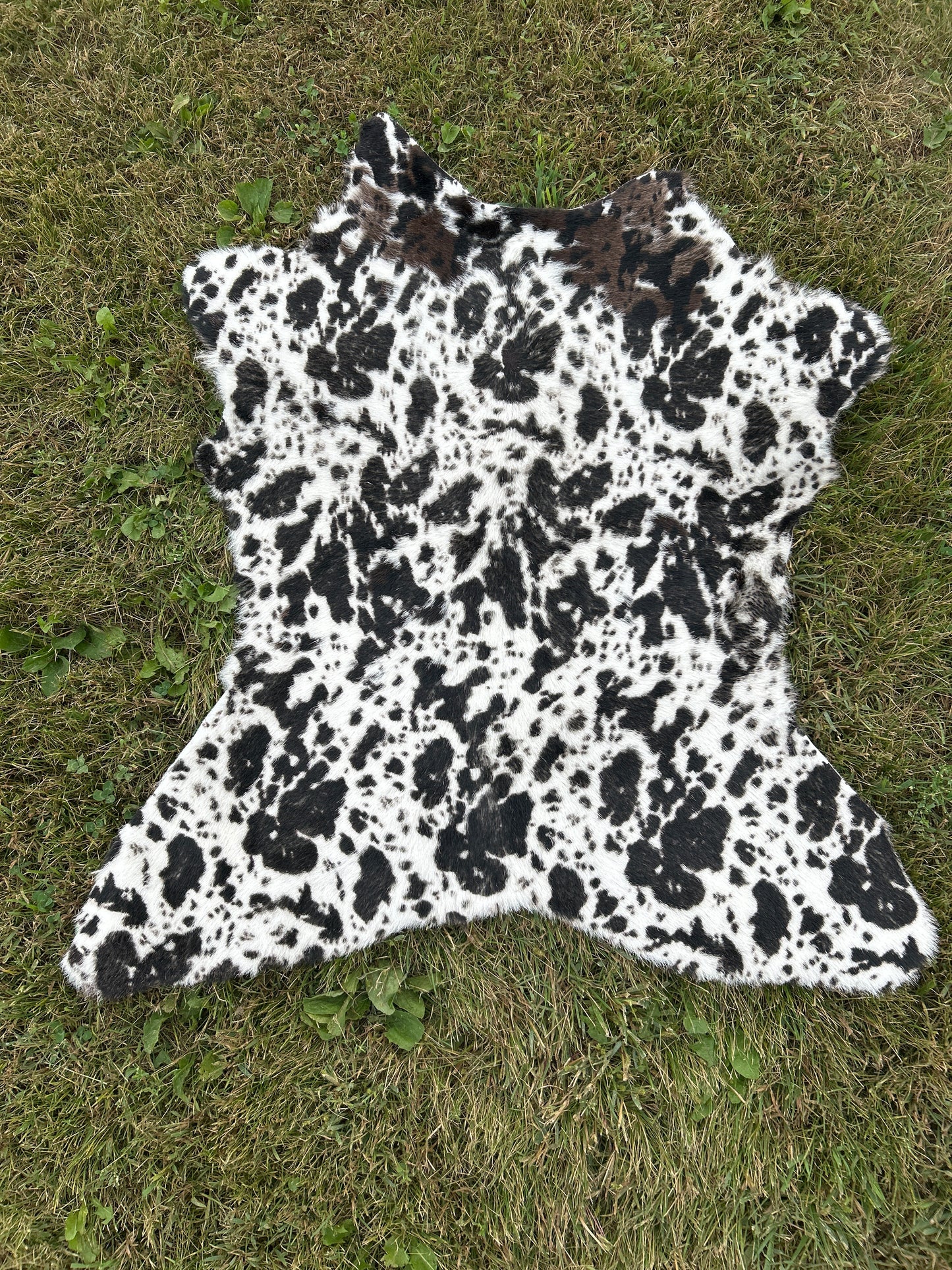 Calf Hide ❇️ Free Shipping ❇️