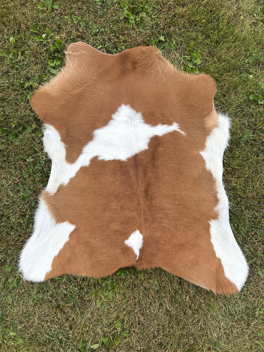 Calf Hide ❇️ Free Shipping ❇️