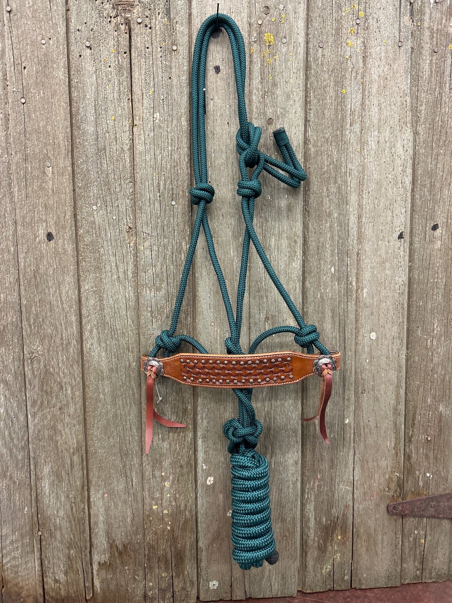 Rope Bronc Halter