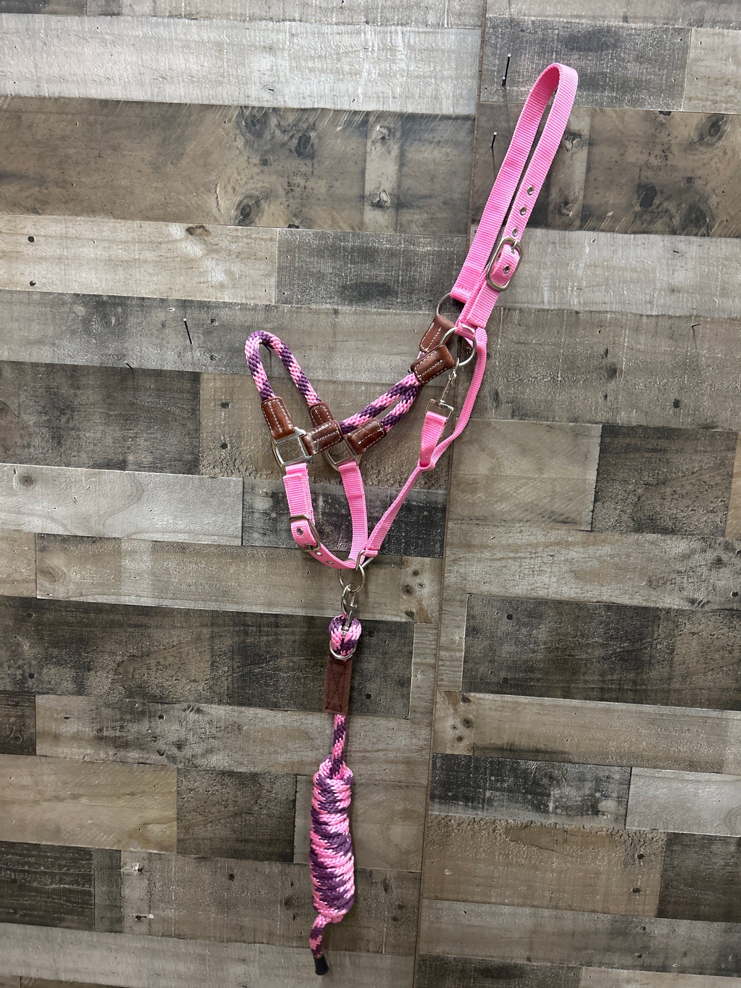 Halter Lead Combo