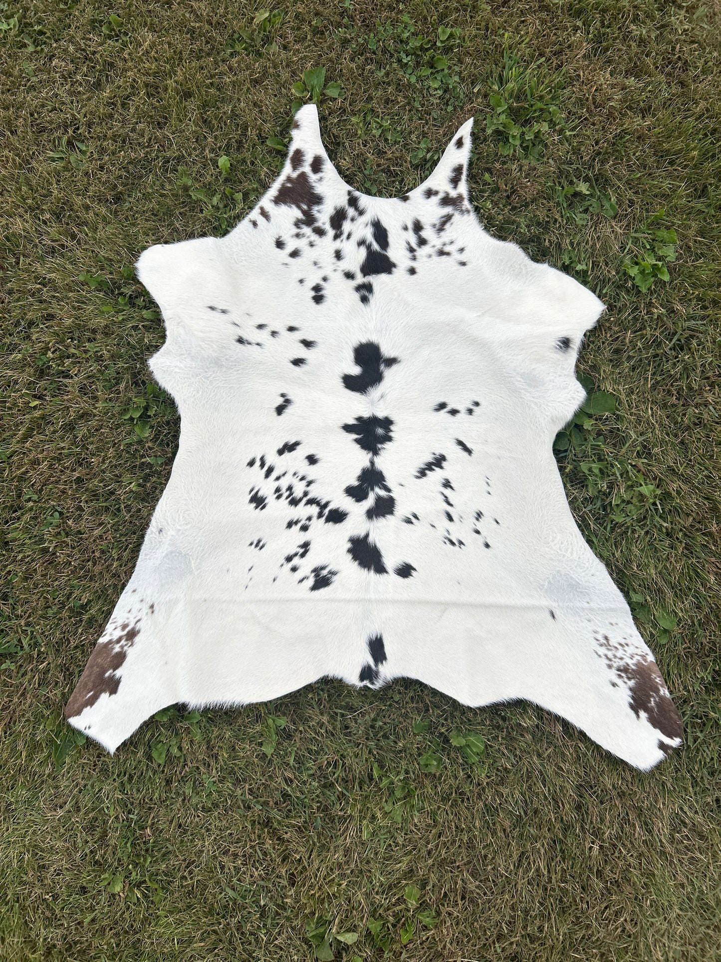 Calf Hide ❇️ Free Shipping ❇️