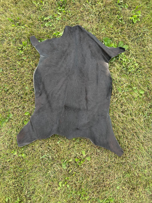 Small Calf Hide ❇️ Free Shipping ❇️