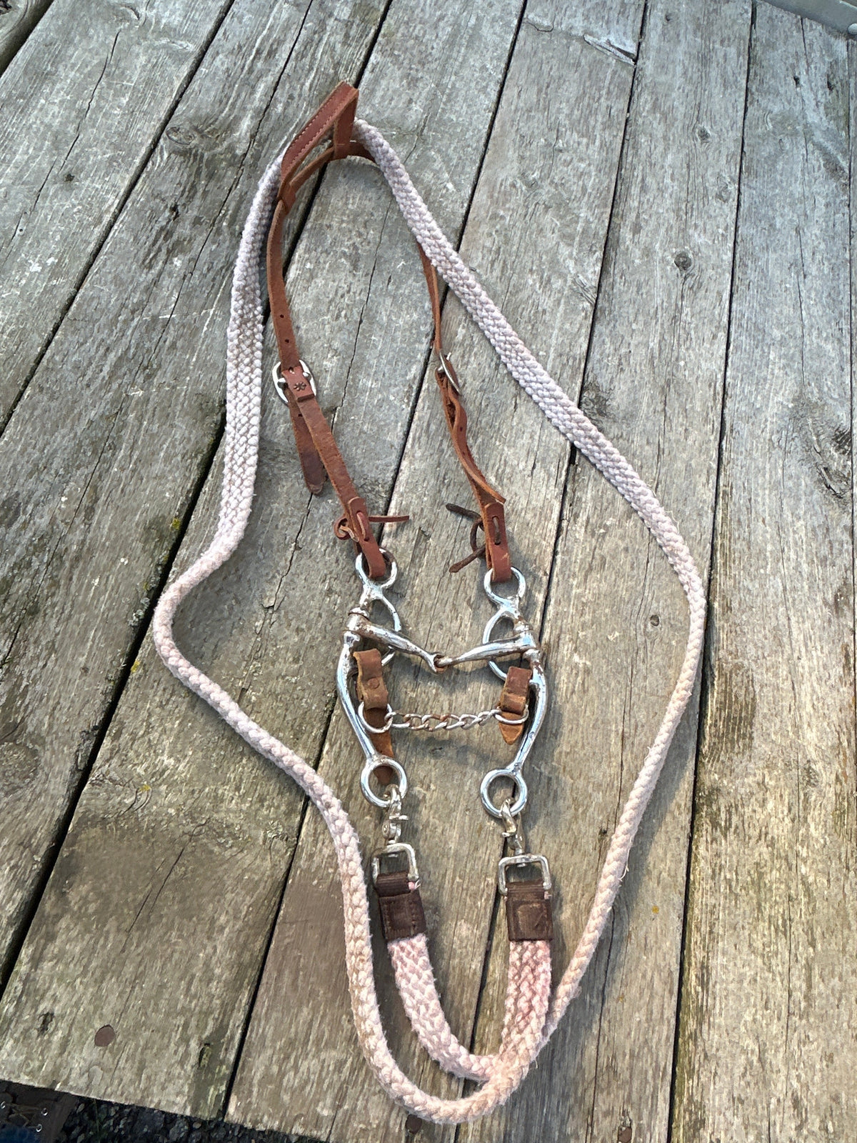 Used Bridle In Using Condition