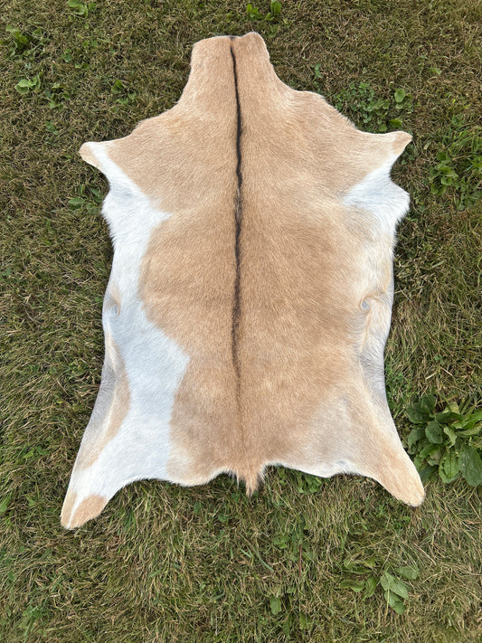 Goat Hide ❇️ Free Shipping ❇️
