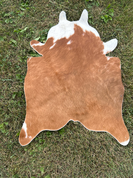 Calf Hide ❇️ Free Shipping ❇️