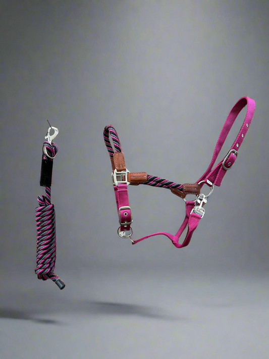 Hybrid Full Size Halter with matching lead