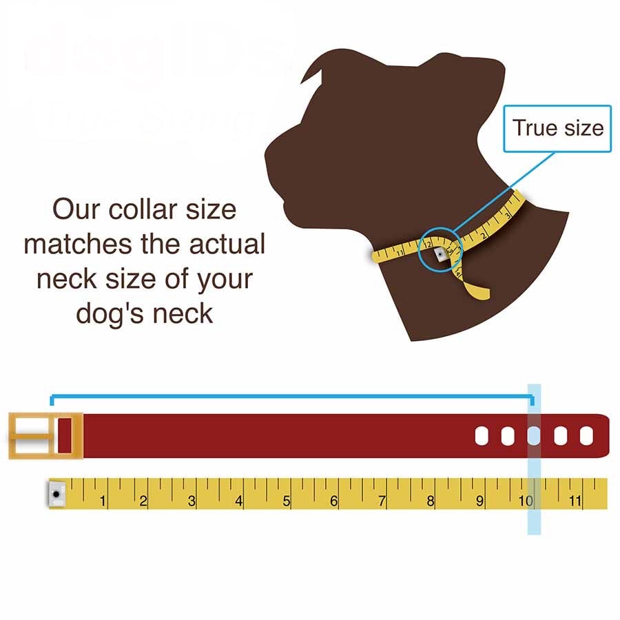 12” Padded Leather Dog Collar