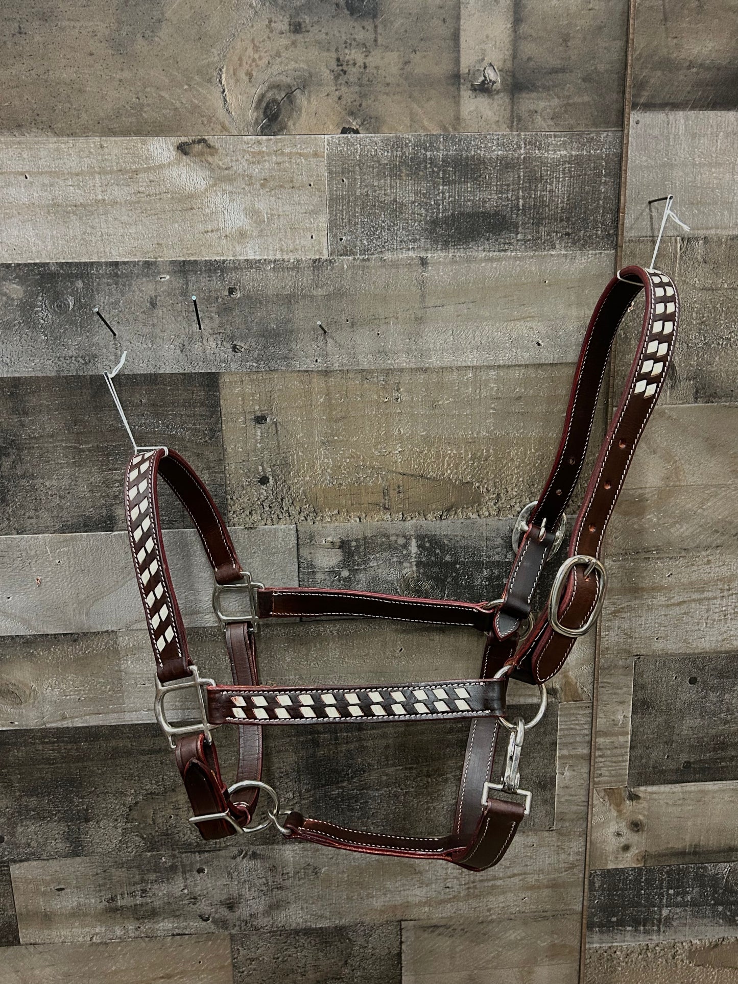 White Buckstitch Leather Halter 3 Way Adjustable