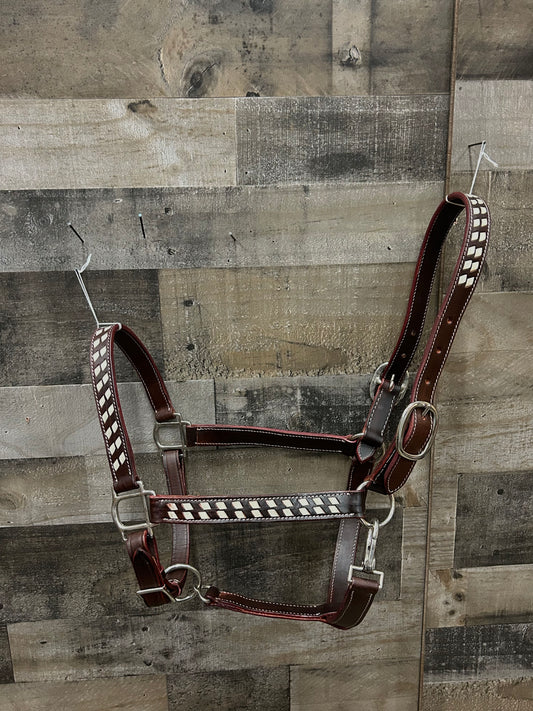 White Buckstitch Leather Halter 3 Way Adjustable