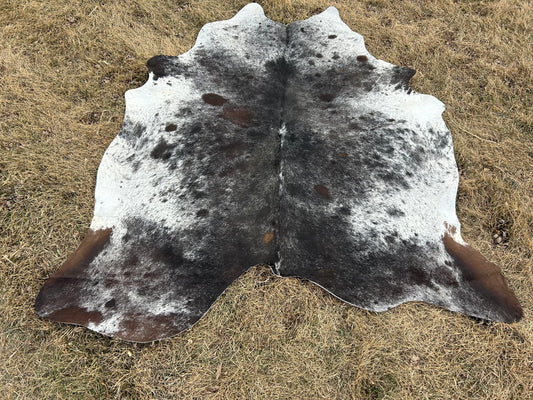 Cowhide Approx 6’x7’ 💥Free Shipping 💥