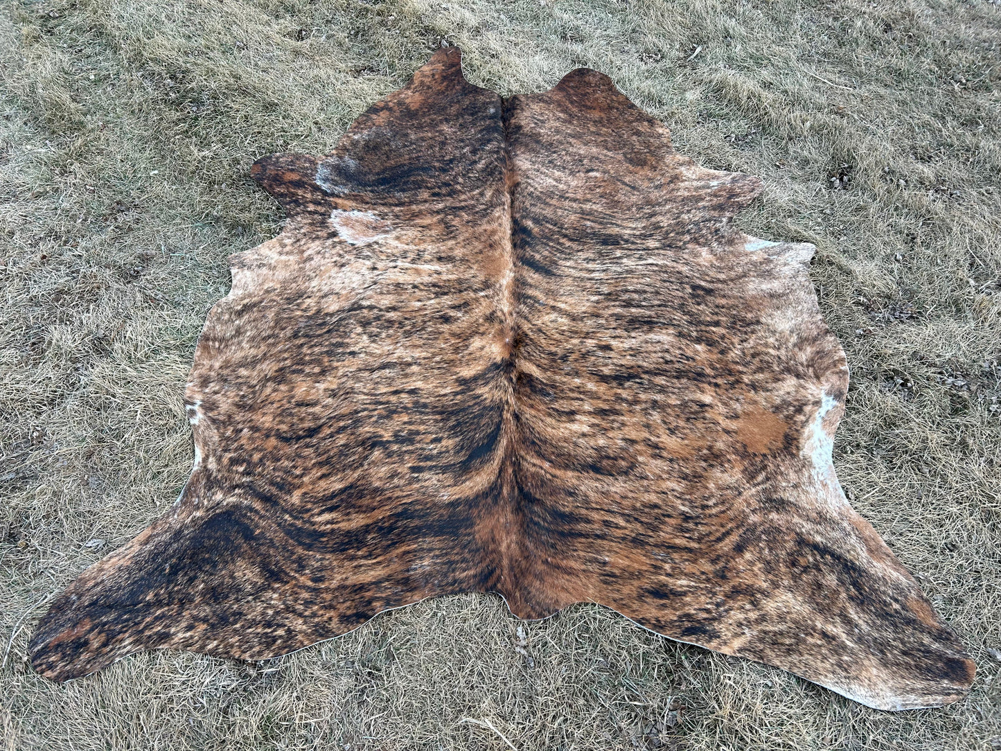 Cowhide Approx 6’x7’ 💥Free Shipping 💥