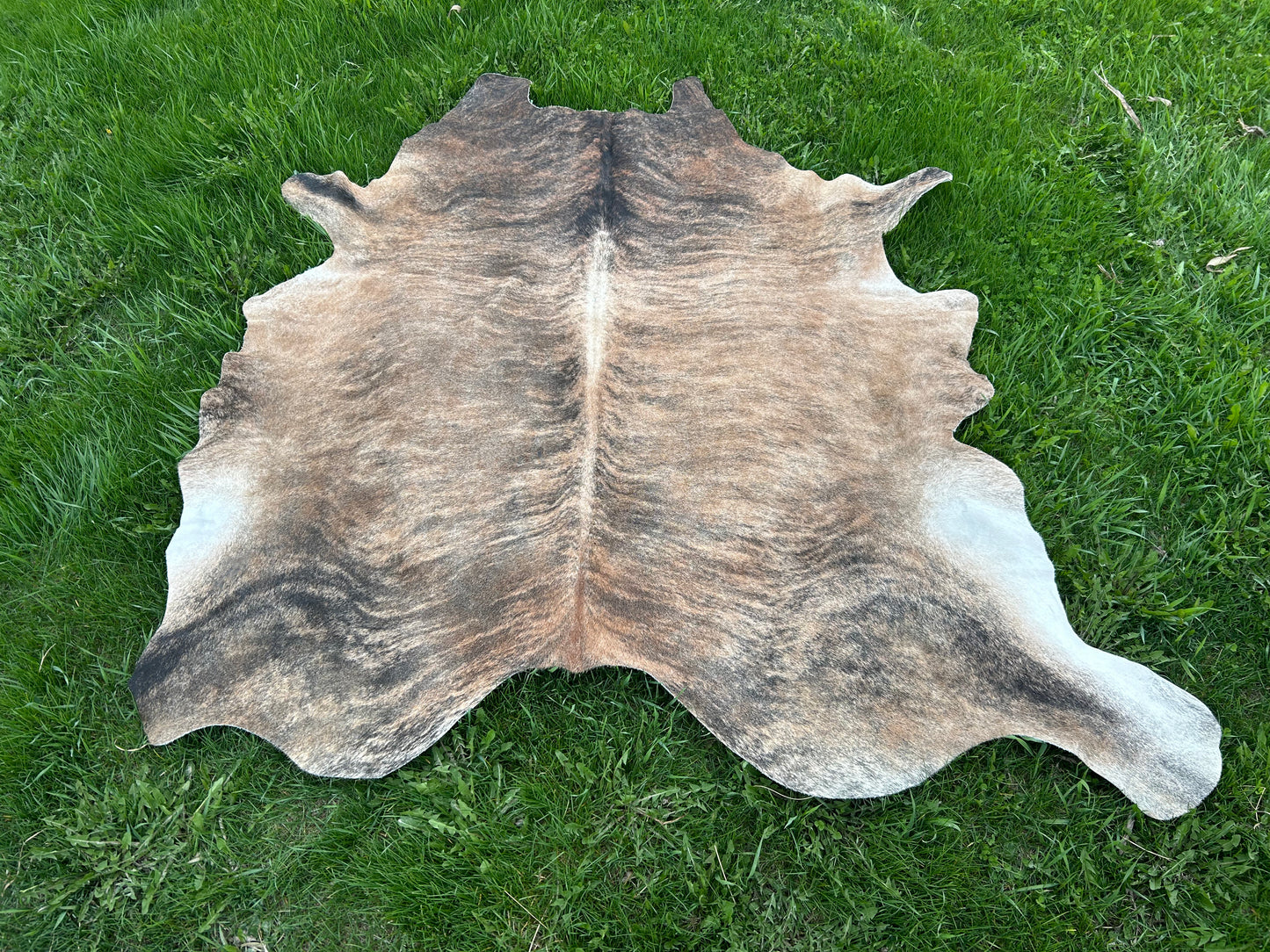 6x7 Cowhide ✳️FREE SHIPPING ✳️