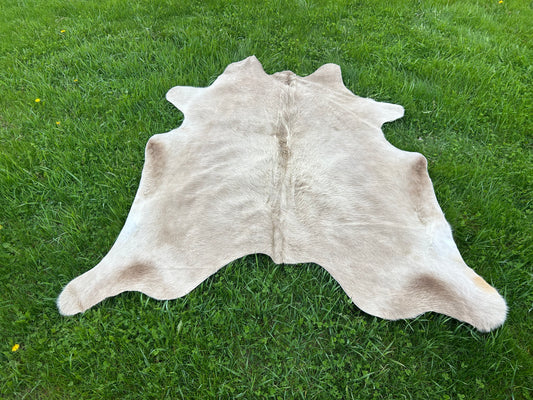 6x7 Long Hair Cowhide ✳️FREE SHIPPING ✳️