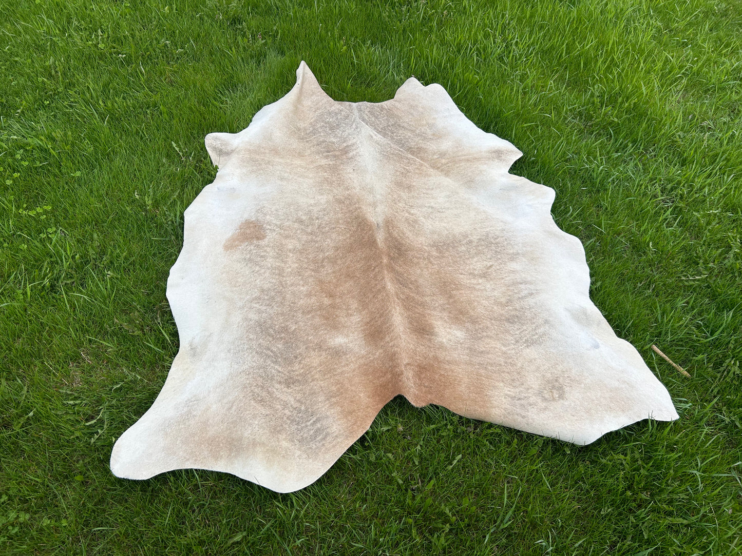5x6 Cowhide ✳️ Free Shipping ✳️