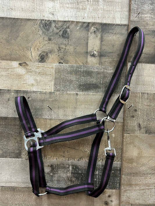 2 Ply Halter