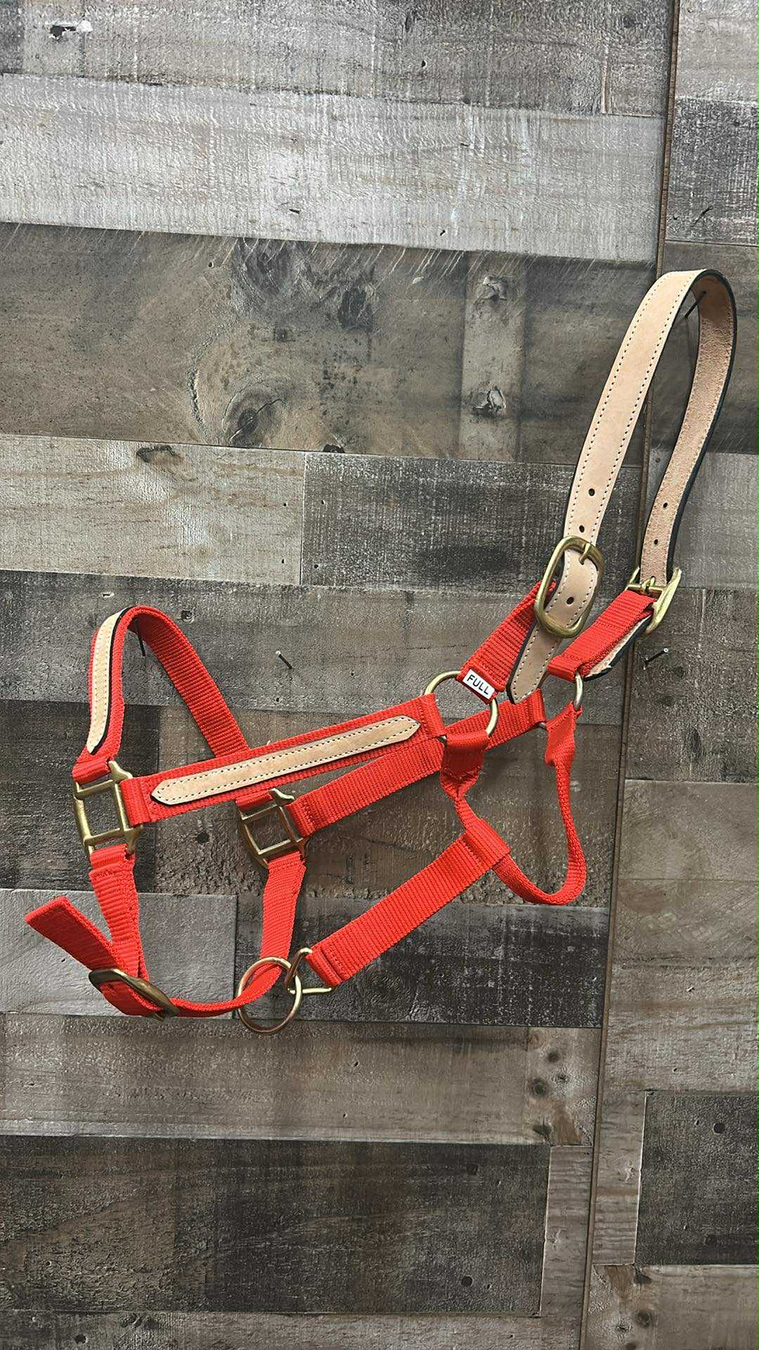 Horse Breakaway Halter