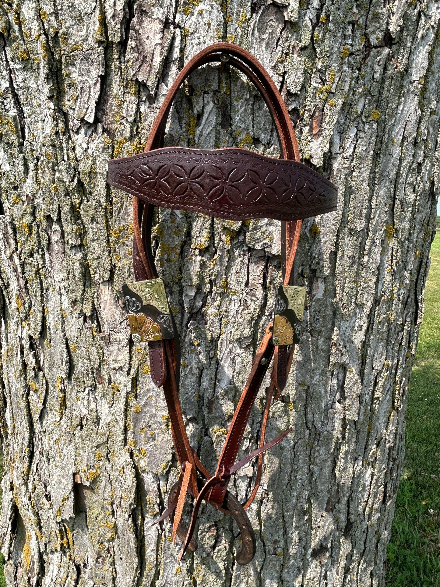 Cob Size South Point Headstall With German Silver Hardware Quick Change Buckle