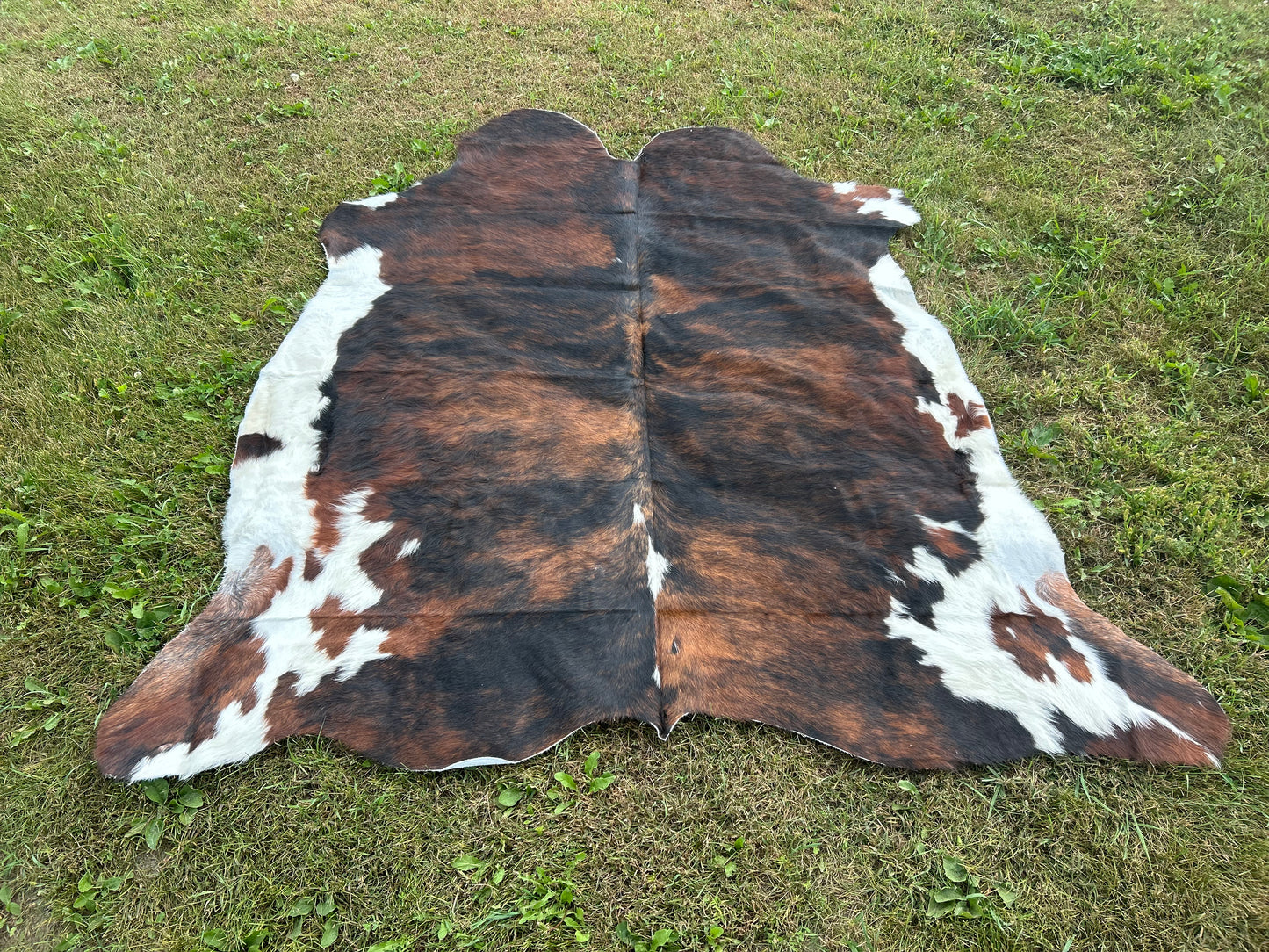 6’ x 6’ 6” Cowhide 🔥Free Shipping 🔥
