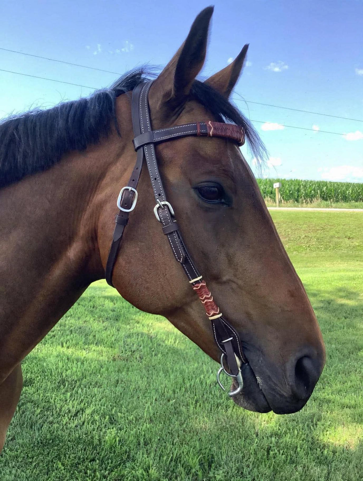 Headstall