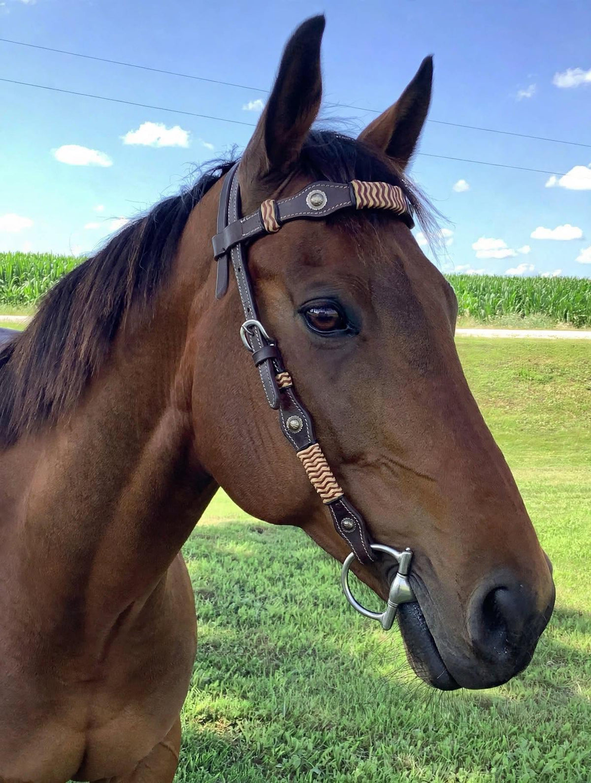 Headstall