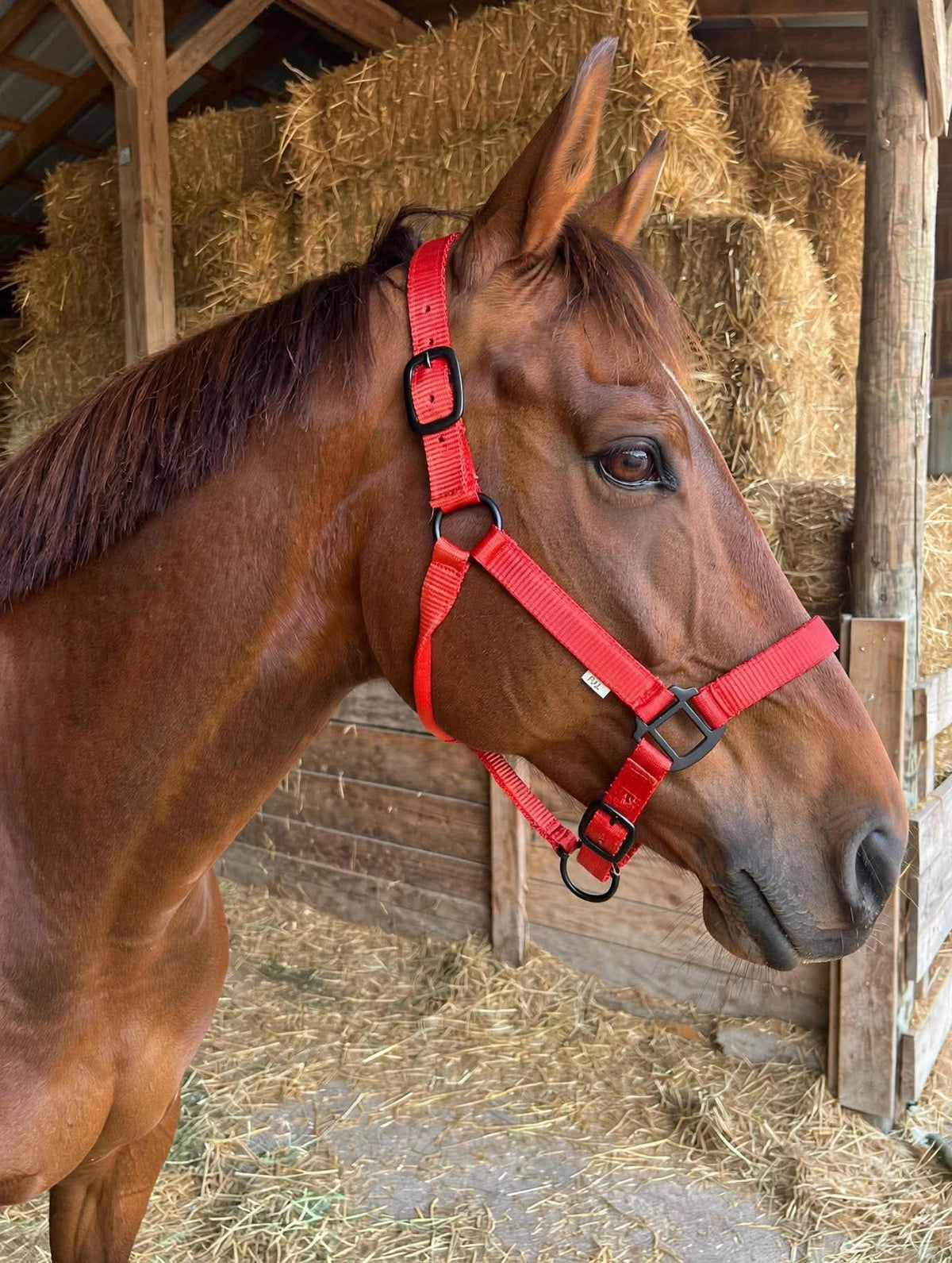 2 ply nylon heavy duty 🇺🇸 halters