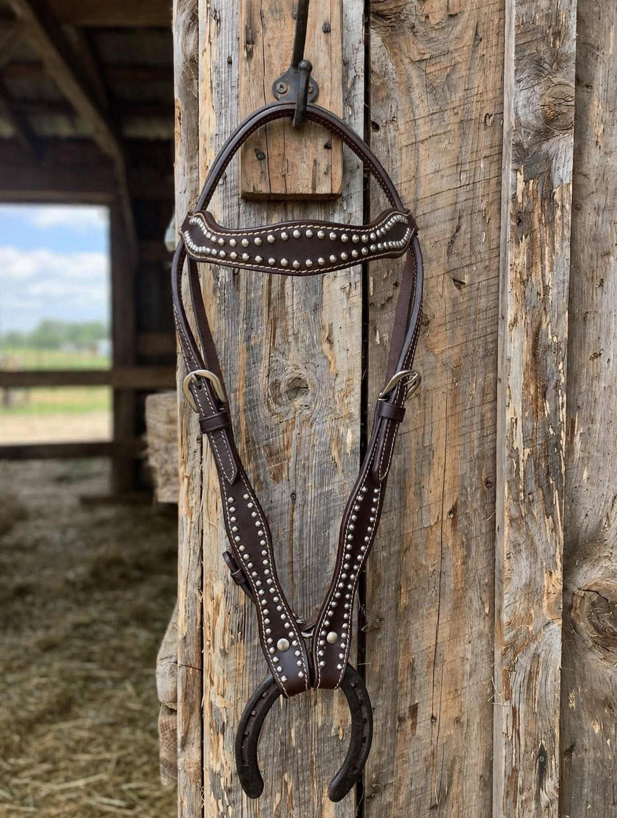 Headstall