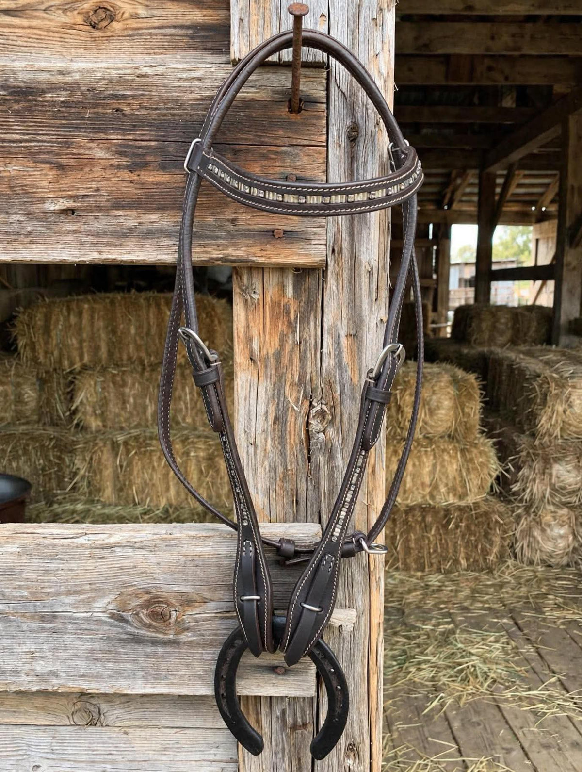 Headstall with clear gems