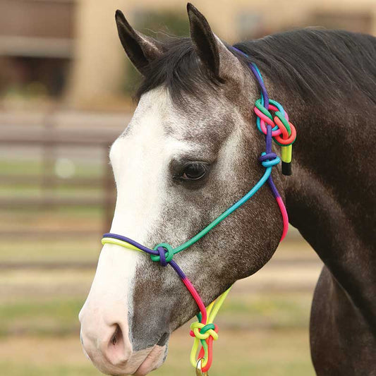 Rainbow Rope Halter