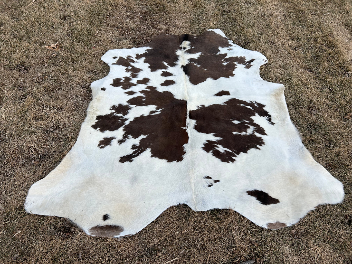 Cowhide Approx 6’x7’ 💥Free Shipping 💥