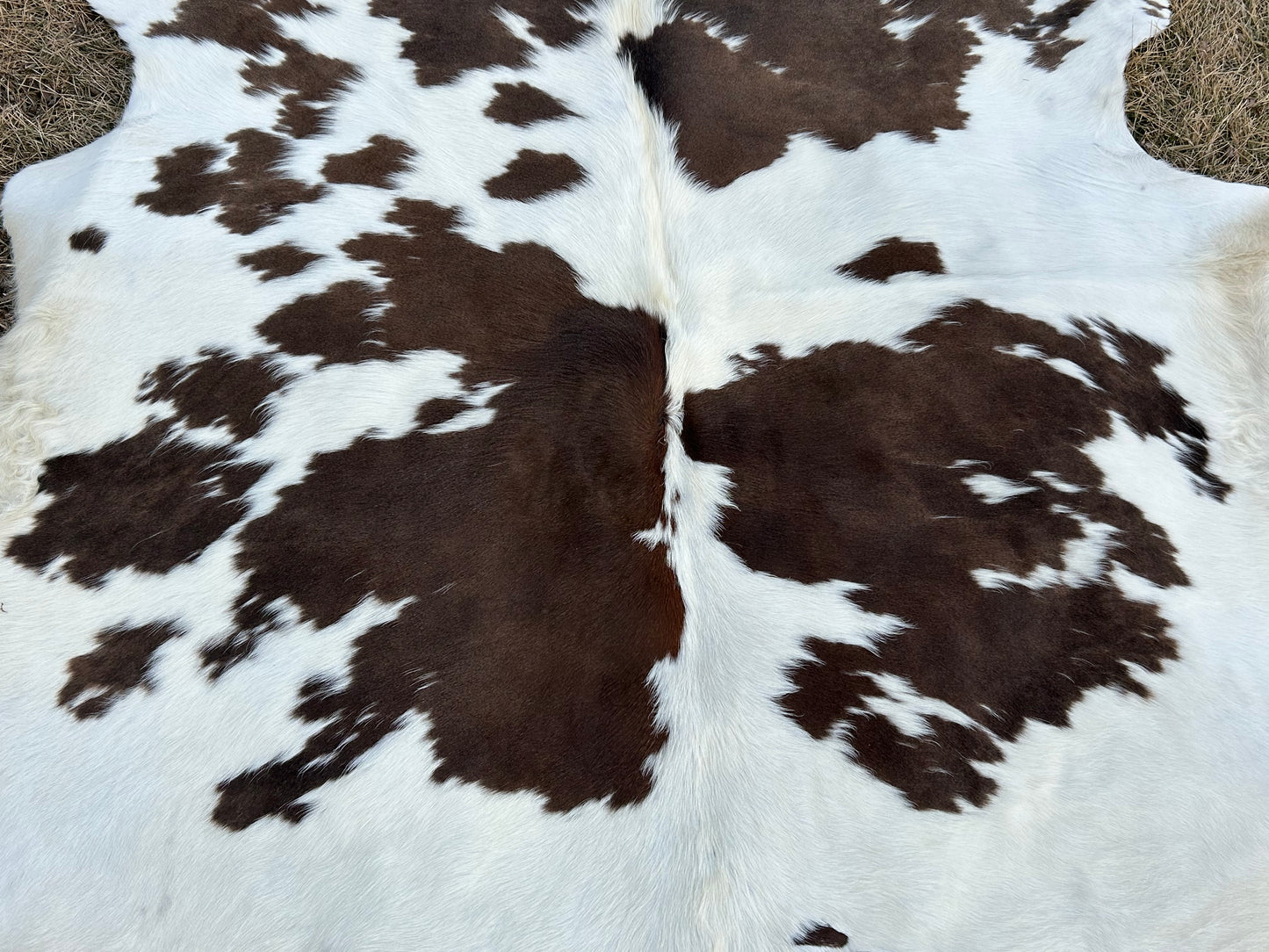 Cowhide Approx 6’x7’ 💥Free Shipping 💥