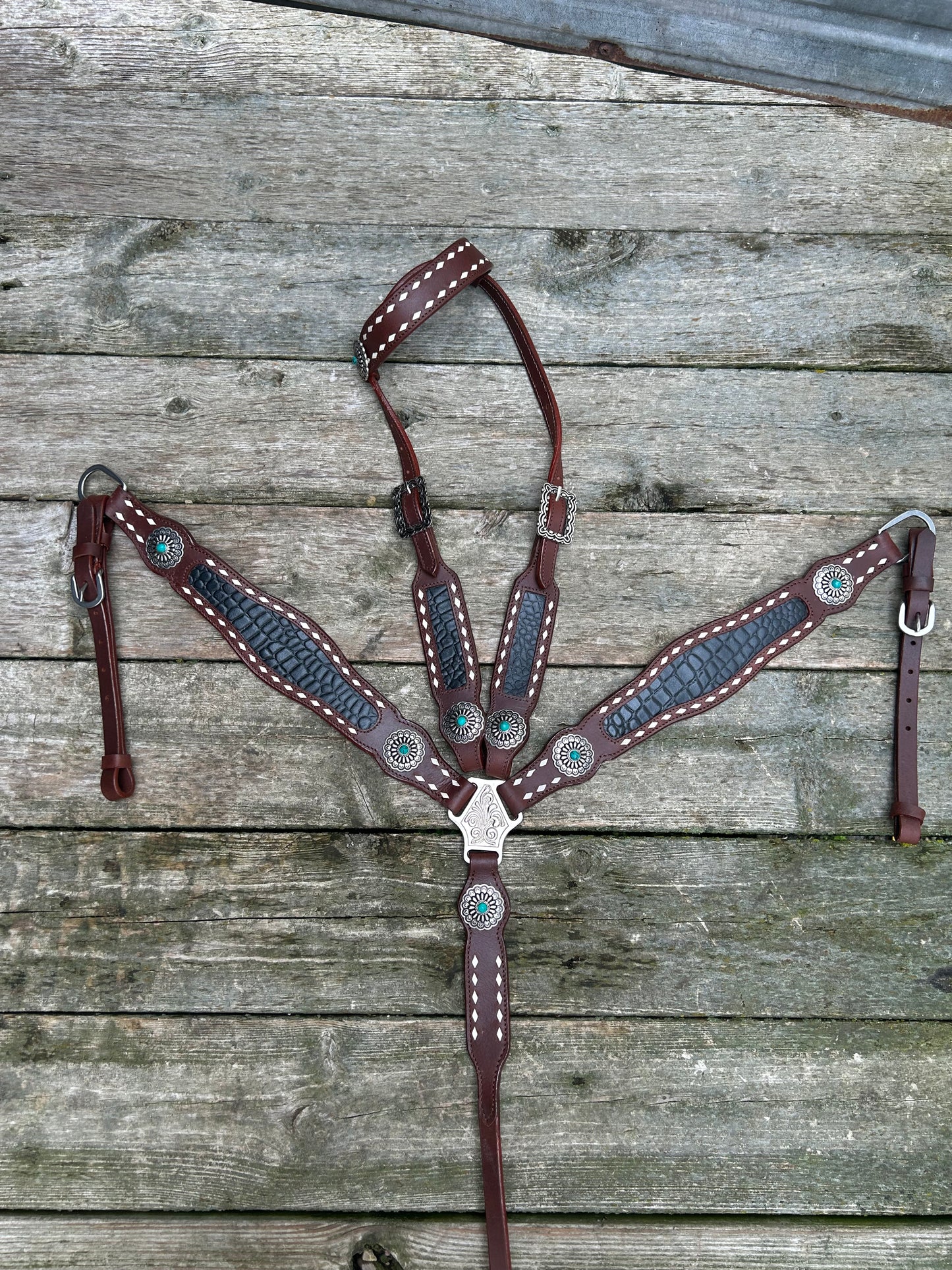 Hot oiled tack set with black gator design