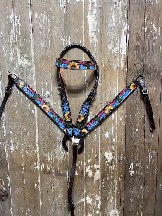 Matching Tack Set